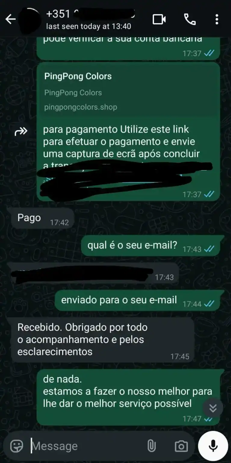 PingPong Colors online payment link for secure transactions on ibo4ktv.