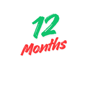 12-month IPTV subscription
