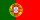Portugal flag with coat of arms showcasing national pride and identity.